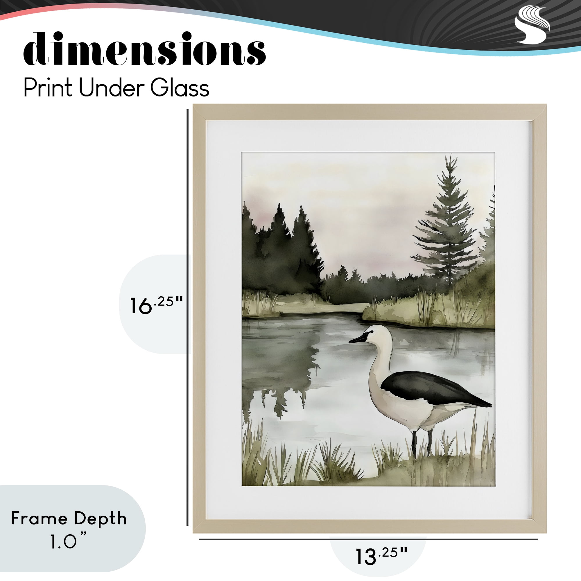 Stupell Industries Springtime Serenity Duck Birch Framed Print Under Glass, design by Riley B