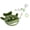 Dark green, variant on Playful Shark Style Miniature Wallet Coin Purse Earphone Money Storage Bag