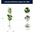 thumbnail image 5 of American Art Decor Artificial Fiddle Fig Tree in White Square Ceramic Pot - 60", 5 of 6