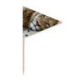 thumbnail image 1 of m  Animal Lion Toothpick Triangle Cupcake Toppers Flag, 1 of 3