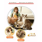 Cat Plush Toy Lifelike Stuffed Animal Realistic Siamese Kitten Model Soft Desktop Decoration for 3+ Years
