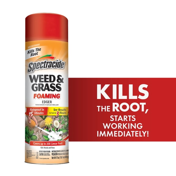 Spectracide Weed And Grass Foaming Edger Aerosol, For Edging Along Yards, 17 Ounces