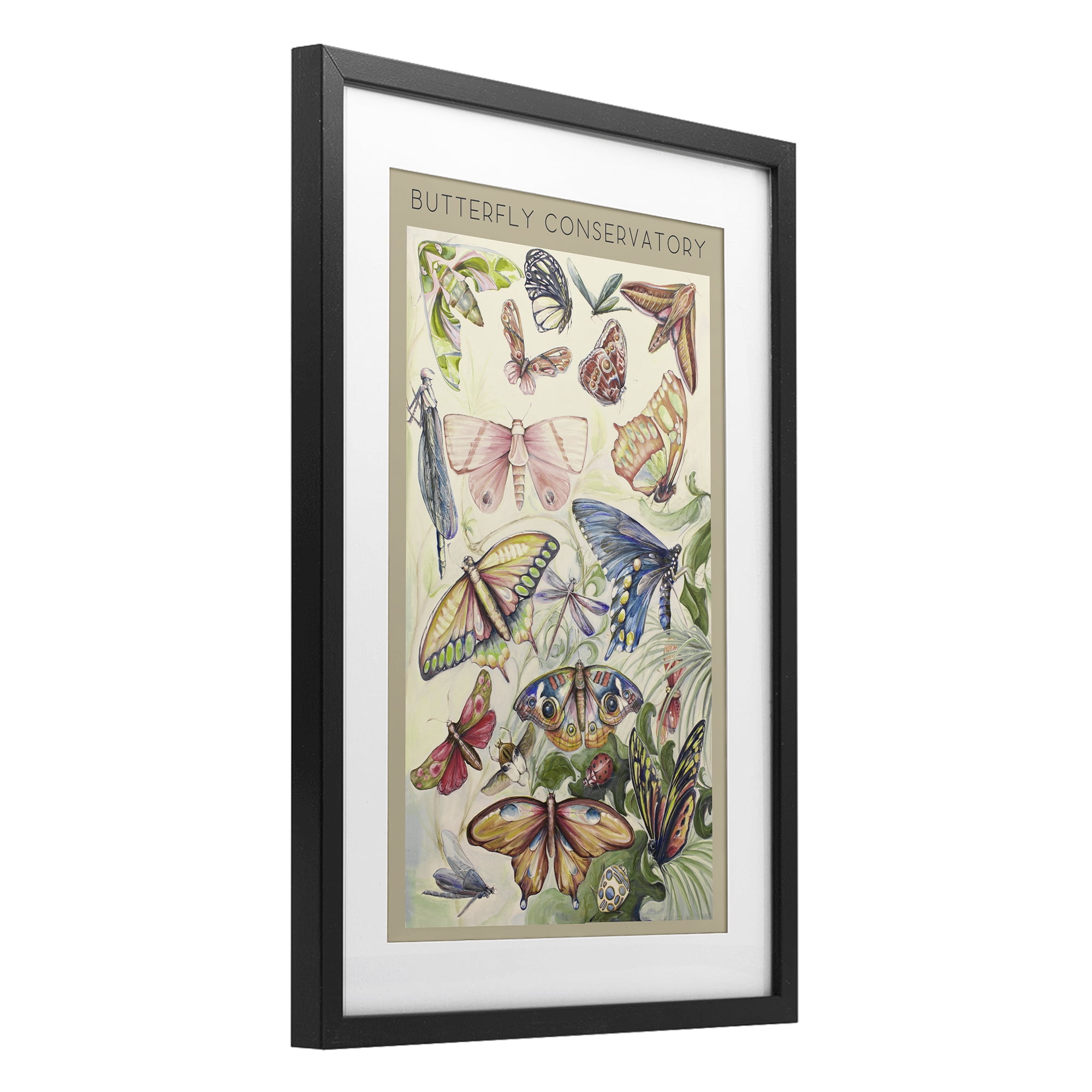 Stupell Industries Butterfly Conservatory Insects Black Framed Print Under Glass, design by Diannart