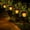 Flickering Flame-PK10, variant on 10 Pack Solar Pathway Lights Outdoor - Bright Solar Powered Garden Lights with Flickering Flame, Auto On/Off Waterproof Path Lights Decorative, Landscape Lighting for Yard Patio Walkway Driveway