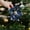 Navy, variant on YIMWNYI Christmas Flower Decoration, Realistic Artificial Magnolia, Durable Fabric Xmas Floral Arrangement, Perfect for Home, Party, Tree Decor