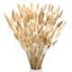 thumbnail image 1 of Uxcell 100 Pack Cola de Conejos Hierba 17" para Decoración del Hogar/Boda Natural, 1 of 7