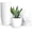 White, variant on Plant Pots, 12 Pack 6 inch Modern Plastic Planters with Drainage Holes and Saucers for Indoor Outdoor Plants and Flowers, Black