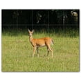 thumbnail image 1 of Picture-Tiles.com: Deer Ceramic Tile Wall Mural WAL500456-54XL. 60"W x 48"H using (20) 12" x 12" Ceramic Tiles-Satin Finish, 1 of 3
