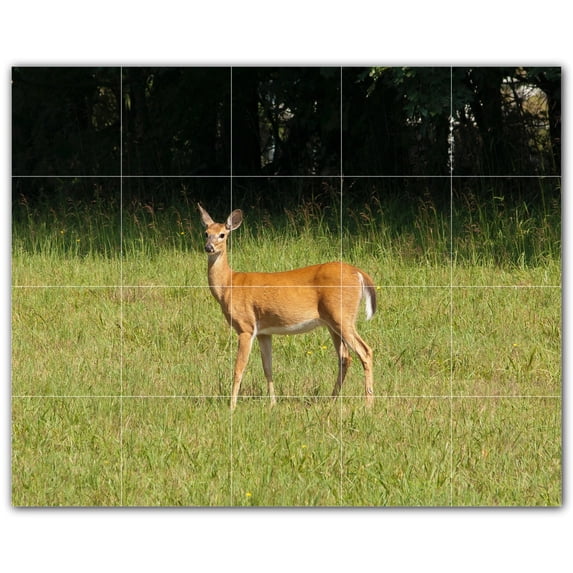 Picture-Tiles.com: Deer Ceramic Tile Wall Mural WAL500456-54XL. 60"W x 48"H using (20) 12" x 12" Ceramic Tiles-Satin Finish