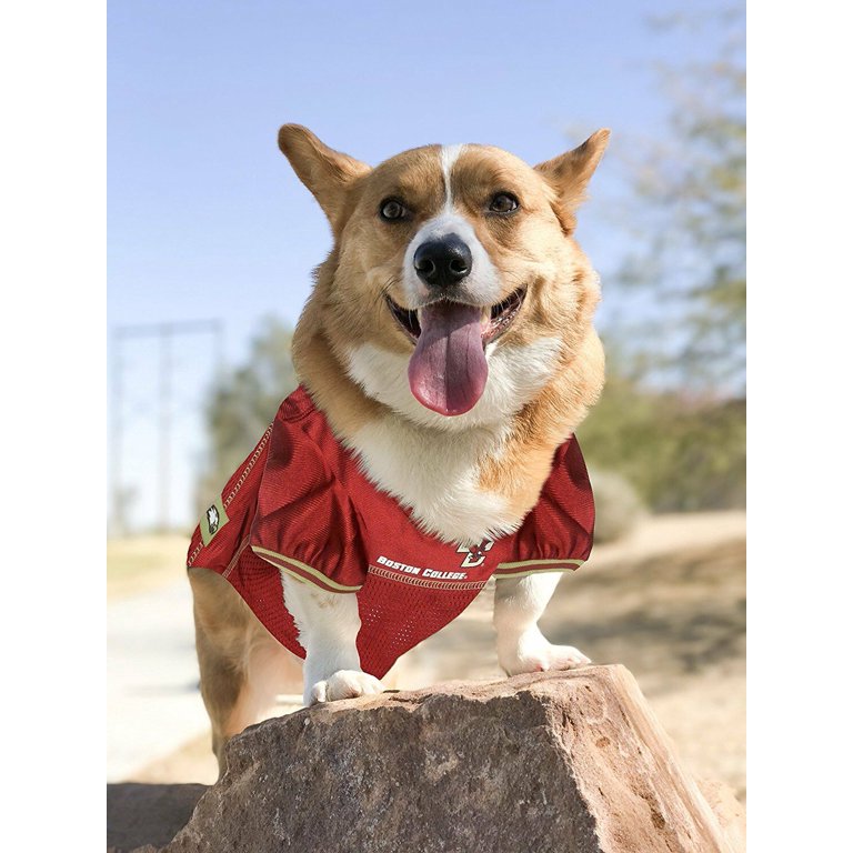 Pets First Collegiate Boston College Eagles Football/Basketball Mesh Jersey  for Pet Dog. available in 40+ Teams - Medium 