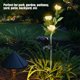 thumbnail image 3 of Luz LED de flor de Camelia de energía solar para jardín al aire libre lámpara de paisaje de césped (blanco cálido), 3 of 5