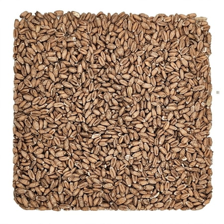 Home Brew Ohio Platinumswaen Spelt Malt 3L Grain 55lb