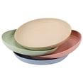 thumbnail image 2 of 4Pcs Household Food Serving Dish Serving Plate Reusable Pasta Plate Western Food Plate, 2 of 9