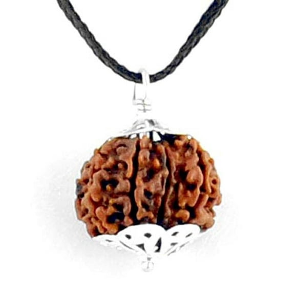 Ankita Gemstones Rudraksha Pendant, Natural 7 face