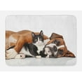 thumbnail image 1 of Funny Bath Mat, Cat and Dog Cuddling Lying on Floor Friendship Theme Cute Animals Togetherness, Non-Slip Plush Mat Bathroom Kitchen Laundry Room Decor, 29.5 X 17.5 Inches, Brown Black White, Ambesonne, 1 of 2