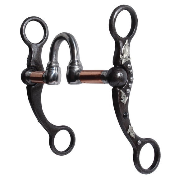 Professionals Choice Correction Black Stone Bit