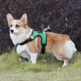 thumbnail image 3 of Flmtop Pet Leashes Adjustable Breathable Polyester Walking Safety Dog Harness for Puppy Green, 3 of 9