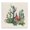Mojave Cacti Botanicals Watercolor, variant on Stupell Industries Contemporary Prickly Cactus Blossoms Black Framed Giclee Art, 12 x 12, by RB
