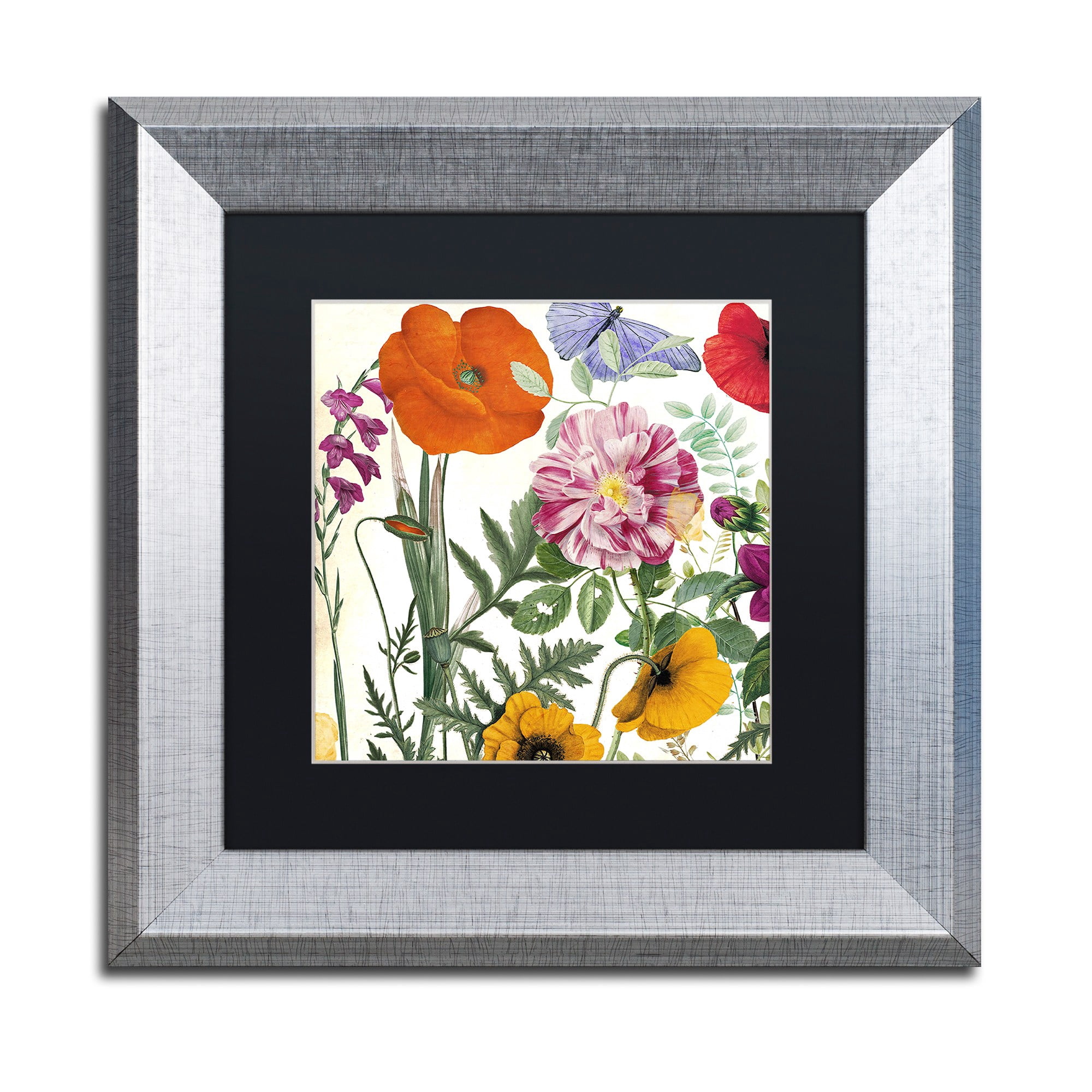 Trademark Fine Art "Printemps II" Canvas Art by Color Bakery, Black Matte, Silver Frame