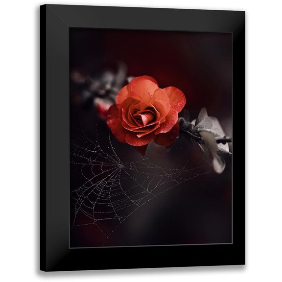 Love Grams 12x14 Black Modern Framed Museum Art Print Titled - IMG_7596
