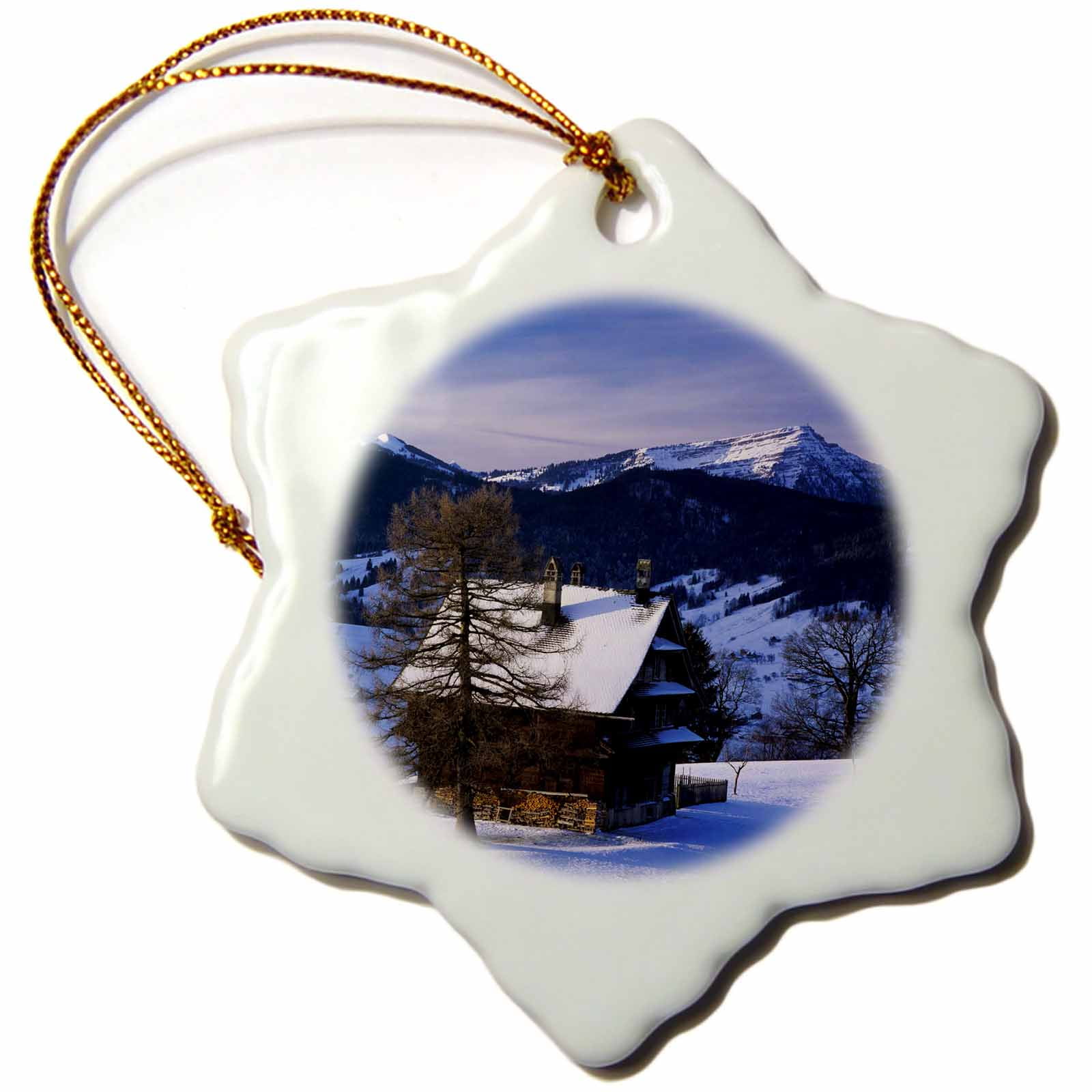 3dRose Farm house, Mt Rigi and Pilatus, Zug, Switzerland ...