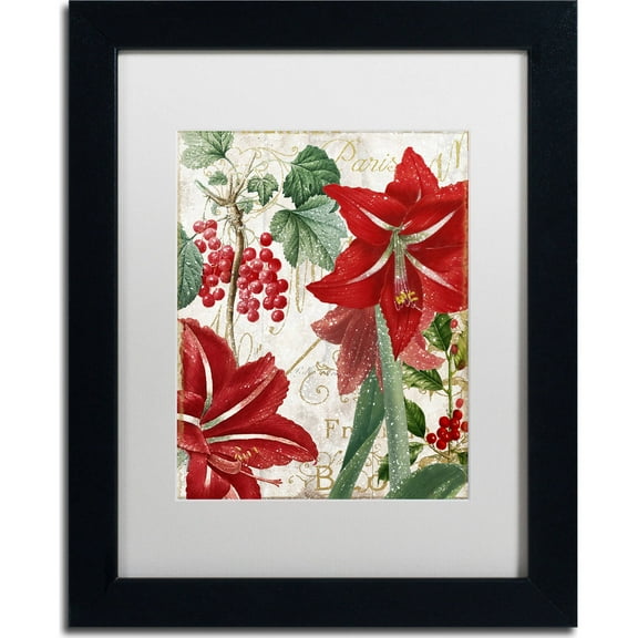 Trademark Fine Art "Amaryllis" Canvas Art by Color Bakery, White Matte, Black Frame