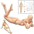 thumbnail image 4 of Body Doll, Artists Manikin Blockhead Jointed Mannequin Drawing Figures Male+Female Set (Grey), 4 of 5