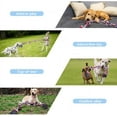 thumbnail image 3 of Dog Rope Toys for Aggressive Chewers, Tug of War Dog Toy with 5 Knot Rope for Medium and Large Dogs, Red, 3 of 7
