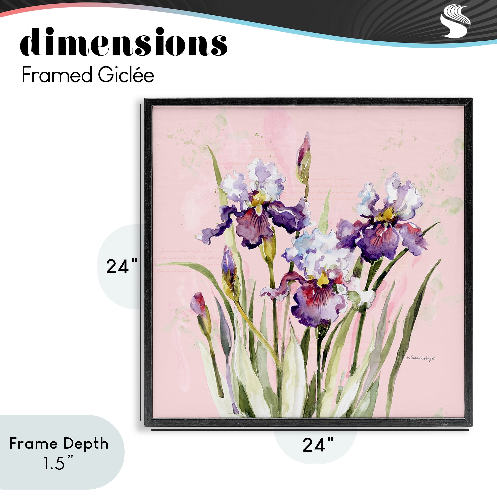 Stupell Industries Purple Irises on Pink Black Framed Giclee Art, design by Susan Winget