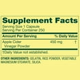 thumbnail image 3 of Spring Valley Apple Cider Vinegar General Health & Wellness Dietary Supplement Capsules, 450 mg, 250 Count, 3 of 12
