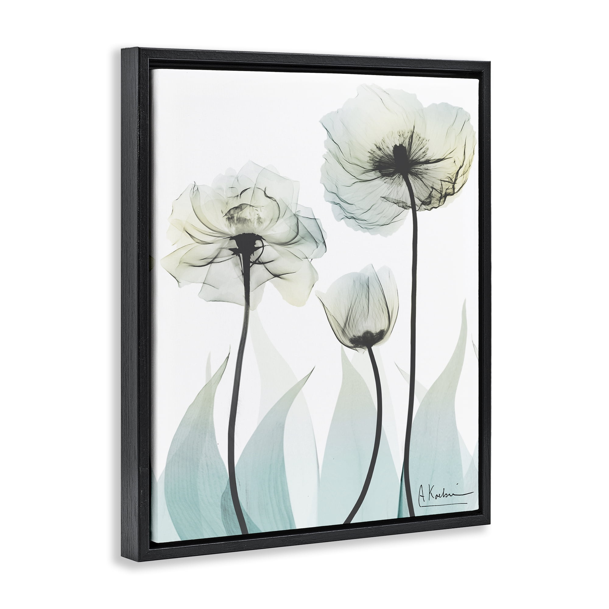 Stupell Industries Luxury Of Creation Black Framed Floater Canvas Wall Art, design by Albert Koetsier