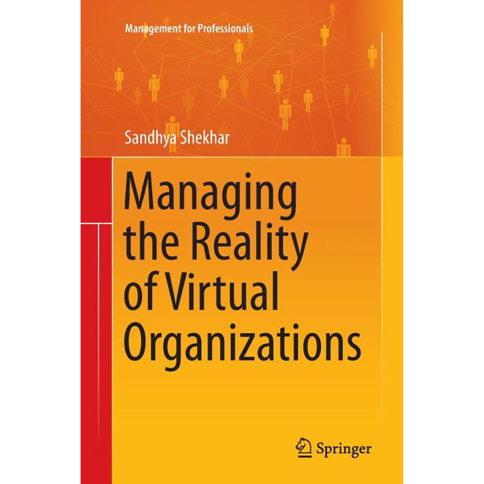 Management for Professionals Managing the Reality of Virtual Organizations (Paperback)