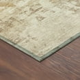 thumbnail image 3 of Addison Rugs Chantille Indoor/Outdoor Transitional Abstract Beige Machine Washable Rectangle Rug, 3' x 5', 3 of 8