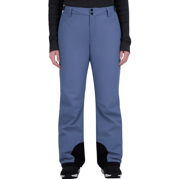 Roxy Women's Snow Pant Blue Large