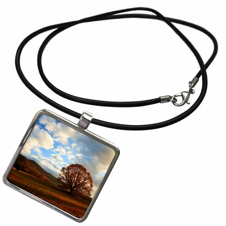 3dRose USA, Tennessee, Sunrise in the fall at Cades Cove, Smoky Mountains NP. - Necklace with Pendant
