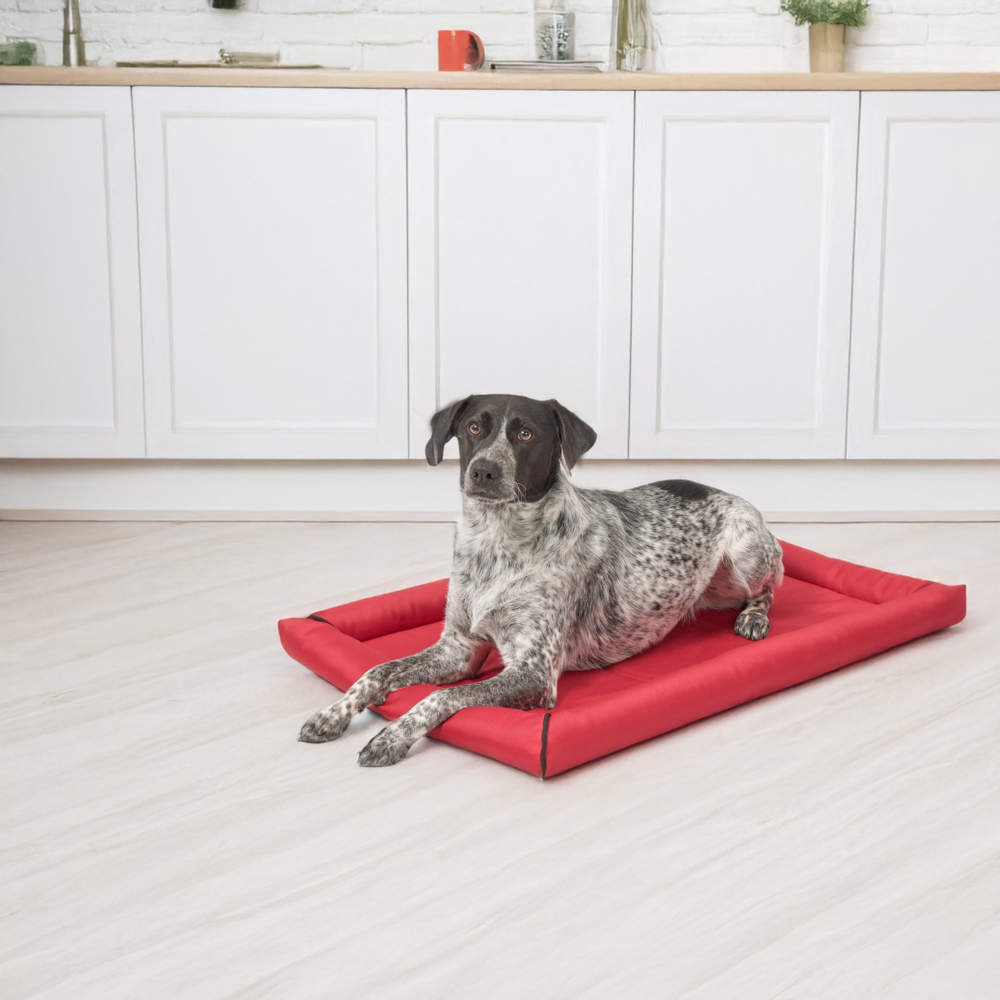 MidWest Homes for Pets Maxx Dog Bed Designed to Fit a 36-Inch Dog Crate, 36-inch, Red
