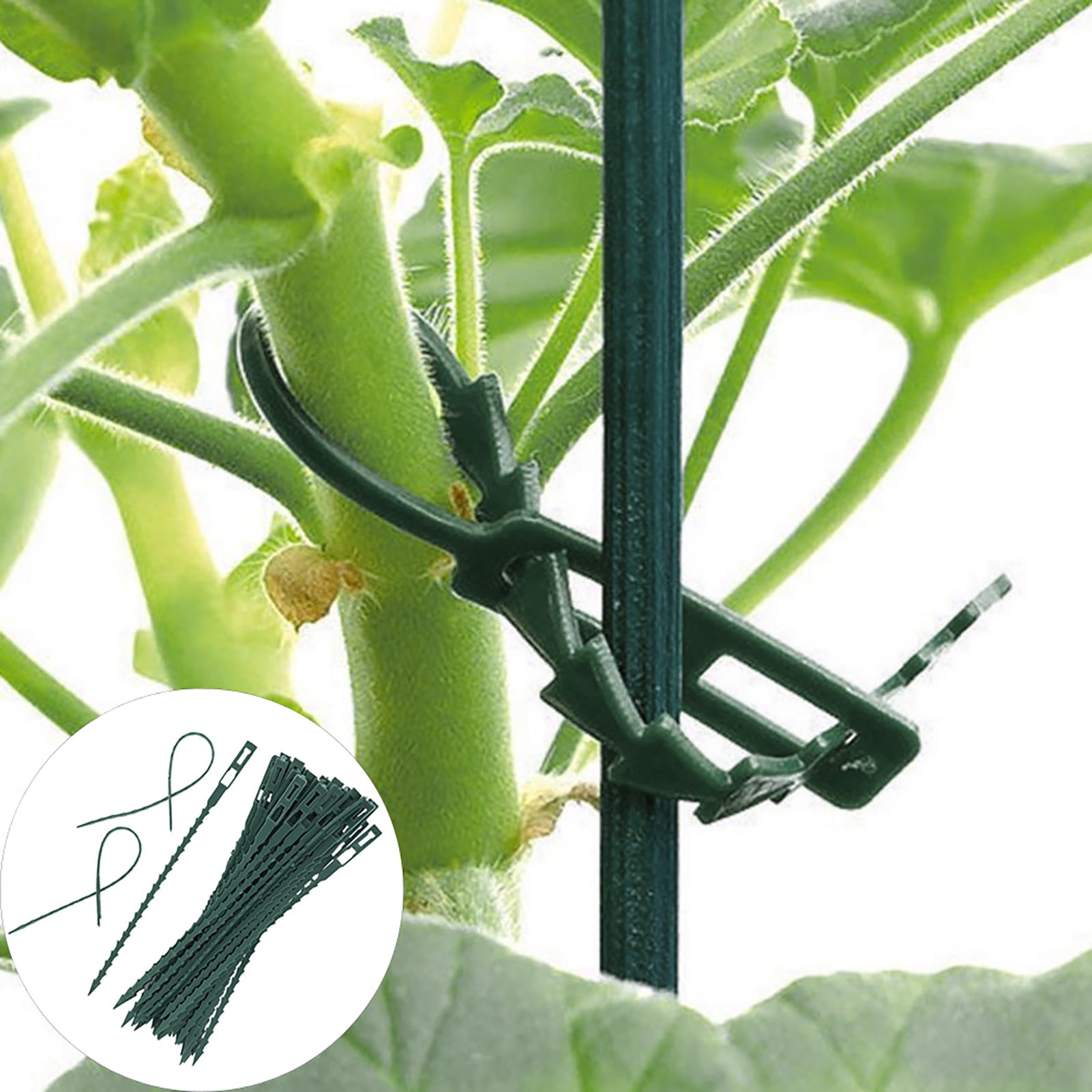 Visland 50PCS Tree Supports Adjustable Tree Straps Tree Ties Tree Training System