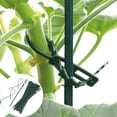 thumbnail image 3 of Cheers.US 100Pcs Reusable Green Gentle Gardening Plant & Flower Lever Loop Gripper Clips Reusable Plastic Landscape Fishbone Spur Plant Belt Band Ties Garden ToolsShort, 3 of 7