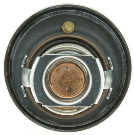 Hastings 2C4982020 4-Cylinder Piston Ring Set 