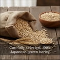 thumbnail image 2 of Sakai Diner - Barley Miso Paste, Additive-Free 500g (17.64oz), 2 of 8