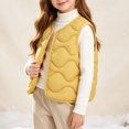thumbnail image 5 of BLVB Toddler Puffer Vest Boys Girls down Vest Warm Fall Winter Jacket Lightweight Sleeveless Button down Coat for Kids(Yellow,3-4 Years), 5 of 9