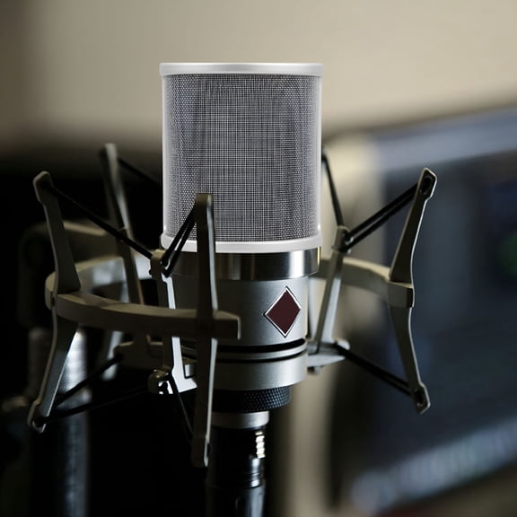 GJX Handheld Mic Pop Filter Recording Microphone Shield U Shape Mic Shield