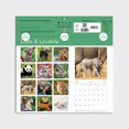 thumbnail image 5 of 2024-12 Month Hanging Wall Calendar-Little & Loveable-12x12 by Dayspring, 5 of 5