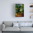 thumbnail image 2 of Trademark Fine Art Claude Monet, Bodmer Oak, Fontainebleau Forest Canvas Wall Art - 16x24, 2 of 5