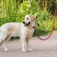 thumbnail image 5 of 140cm Extremely Durable Strong Dog Training Leash Adjustable Pet Leash for Medium to Large Dogs, Red, 5 of 5
