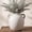 White-445, variant on White Ceramic Vase, Decorative Terracotta Vase with Handle, Round Rustic Vases for Home Decor, Farmhouse Vintage Vases for Living Room, Bedroom, Office, Kitchen, Coffee Table