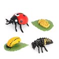 thumbnail image 2 of Simulación Conjunto de insectos Modelo de preescolar de crecimiento de plástico Aprendizaje educativo Jardín Decoración miniatura Regalos para niños Irene Inevent FN010053-00, 2 of 7