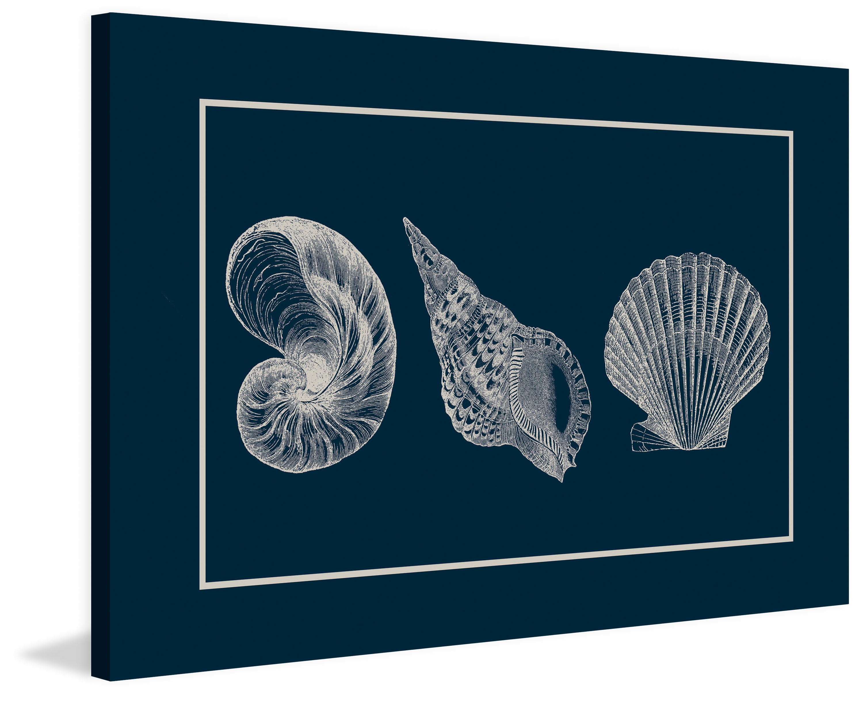 "Shells" Painting Print on Wrapped Canvas