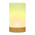 NBG Friendship LED Color Changing Table Lamp with AC Cord, Touch