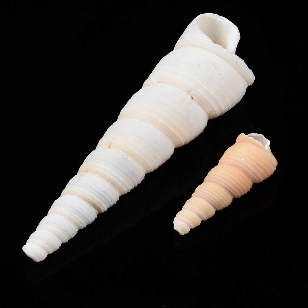 500gs Spiral Shell Beads Turritella Shell Undrilled/No Hole Beads White 29~72x9~20mm